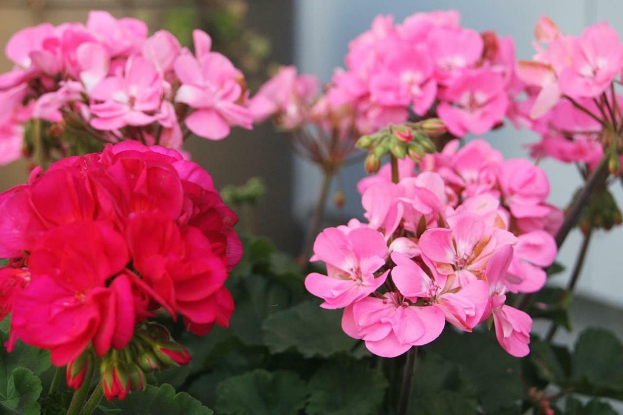 Gartenzimmer Rubigen Dış mekan fotoğraf